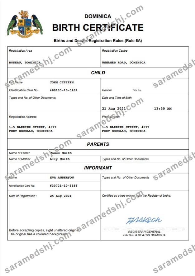 Dominica vital record birth certificate Word and PDF template